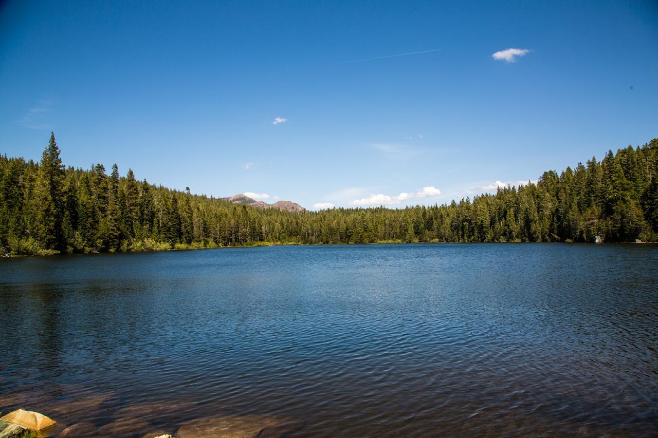 Snowflower Camping Resort Cabin 3 Emigrant Gap Extérieur photo